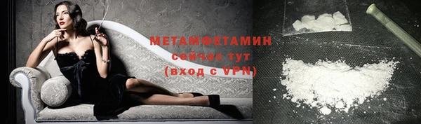 спиды Богданович
