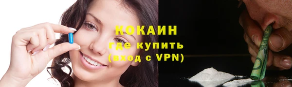 спиды Богданович