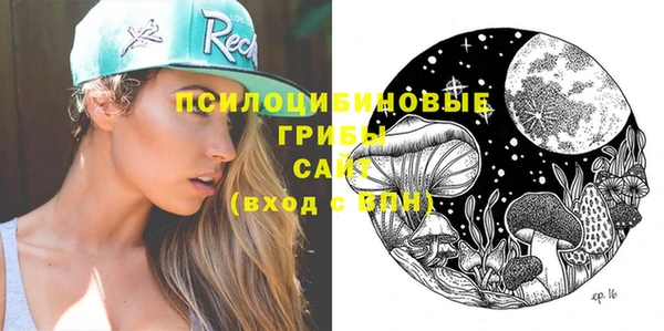 спиды Богданович