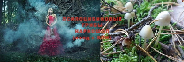 спиды Богданович