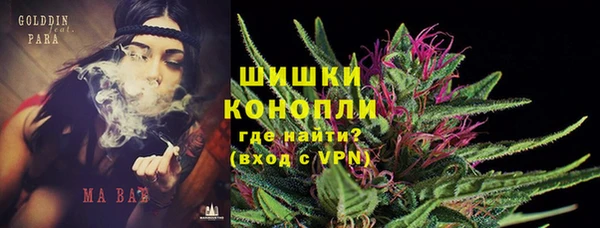 ГАЛЛЮЦИНОГЕННЫЕ ГРИБЫ Белокуриха