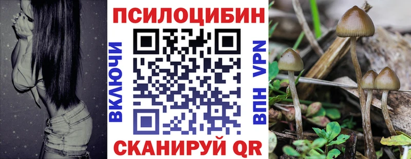 где продают наркотики  Бобров  ссылка на мегу как зайти  Псилоцибиновые грибы Psilocybine cubensis 